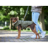 Wolters Steppjacke Hund Cosy OLIVE