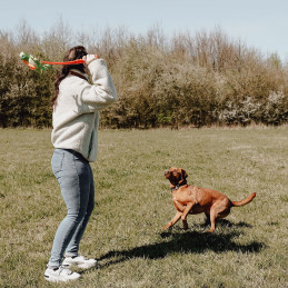 Wurf-Hundespielzeug Grashüpfer, 59 cm