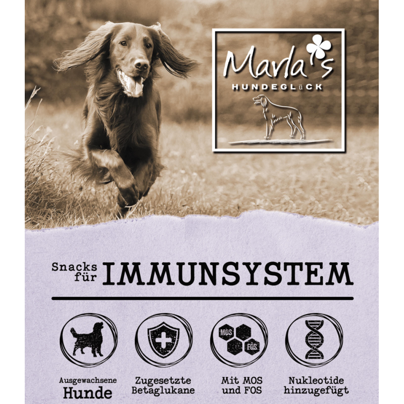 Immunsystem Snacks - für alle Lebensphasen 70g