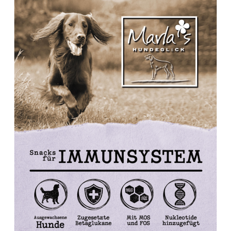 Immunsystem Snacks - für alle Lebensphasen 70g