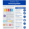 Immunsystem Snacks - für alle Lebensphasen 70g