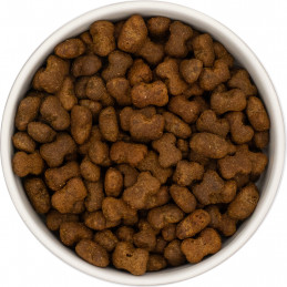 Immunsystem Snacks - für alle Lebensphasen 70g