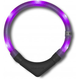 LEUCHTIE Plus - LED Halsband für Hunde - lavendel, transparenter Schlauch