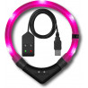 LEUCHTIE Easy Charge - LED Halsband für Hunde - hotpink