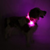 LEUCHTIE Easy Charge - LED Halsband für Hunde - hotpink