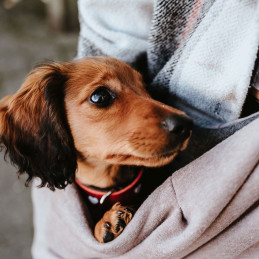 Tragebeutel Los Angeles 60x30 cm taupe/grau