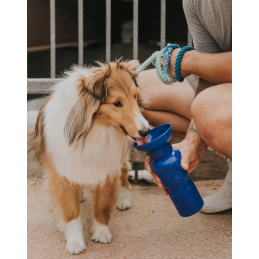 SPRINGER Classic Reisetrinkflasche für Hunde