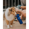 SPRINGER Classic Reisetrinkflasche für Hunde