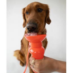 SPRINGER Classic Reisetrinkflasche für Hunde