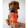SPRINGER Classic Reisetrinkflasche für Hunde