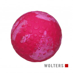 Aqua-Fun Wasserball