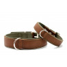 Halsband Klassik Premium