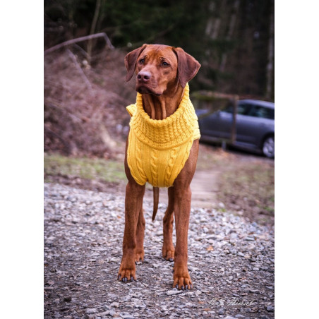 JUMPER - INDIAN YELLOW, 100% Wolle