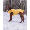 JUMPER - INDIAN YELLOW, 100% Wolle