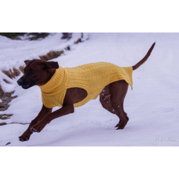 JUMPER - INDIAN YELLOW, 100% Wolle