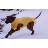JUMPER - INDIAN YELLOW, 100% Wolle