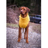 JUMPER - INDIAN YELLOW, 100% Wolle