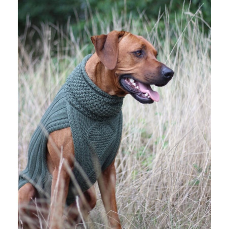 Jumper CLASSY - Olive - 100 % Merino-Wolle