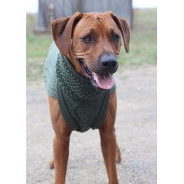 Jumper CLASSY - Olive - 100 % Merino-Wolle