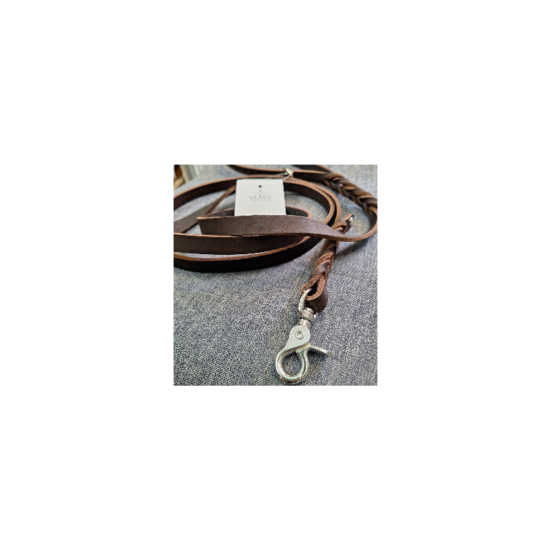 Lederleine Klassik Snap-Karabiner braun / silber