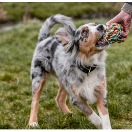 Rope Toy, Ball
