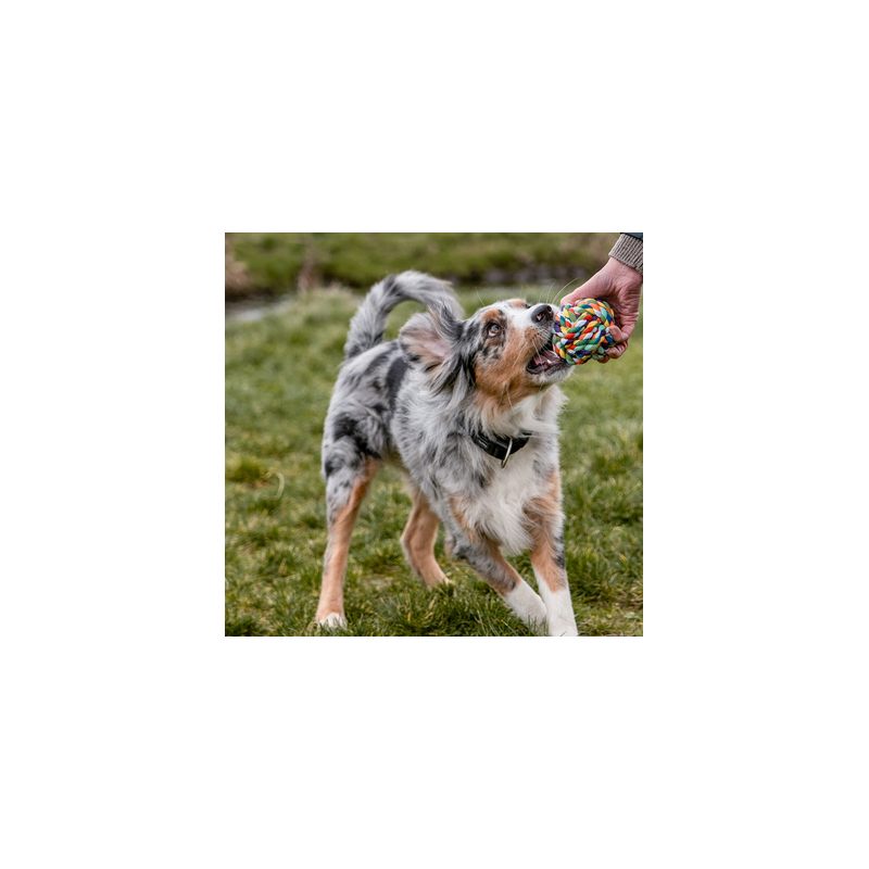 Rope Toy, Ball