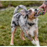Rope Toy, Ball