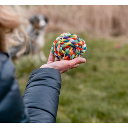 Rope Toy, Ball