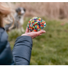 Rope Toy, Ball