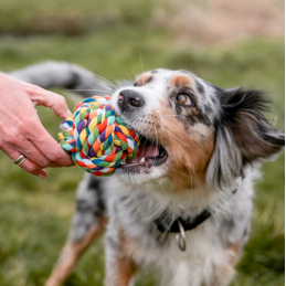 Rope Toy, Ball