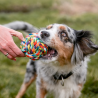 Rope Toy, Ball