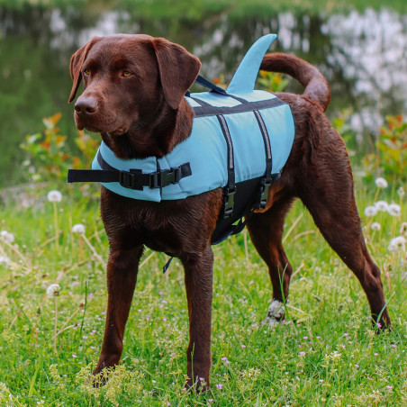 Hunde Schwimmhilfe "Sharki"