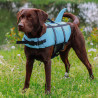 Hunde Schwimmhilfe "Sharki"
