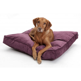 Hundekissen Mystic samt lila purple 80x60x15cm