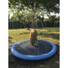Splash-Pool blau Ø 100 cm