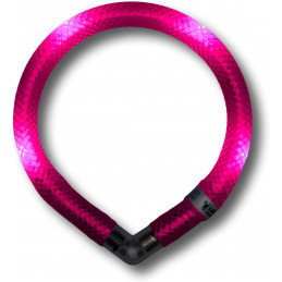 LEUCHTIE Mini I LED Halsband extra für kleine Hunde