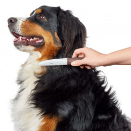 Kamm rotierende Zinken Spa medium