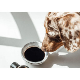 LILA LOVES IT Moortonikum 250 ml
