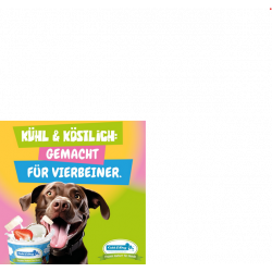 Hundeeis Cold & Dog (nur Click&Collect)