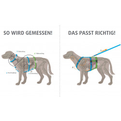 anny-x Brustgeschirr Fun lavendel