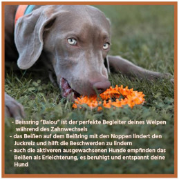 Beißring "Balou" | Naturkautschuk