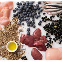 No 01 - nacanis Huhn - Hunde - Hanfsnack - 60 Stk.