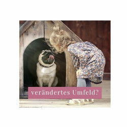 No 01 - nacanis Huhn - Hunde - Hanfsnack - 60 Stk.