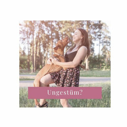 No 01 - nacanis Huhn - Hunde - Hanfsnack - 60 Stk.