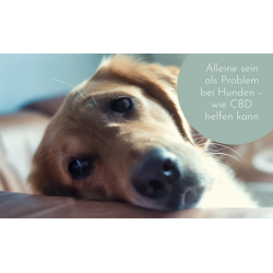 Nacani CBD-Öl Vollspektrum Hanföl 5,6% - 10ml