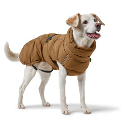 Hundemantel Paxson -  karamell - HUNTER