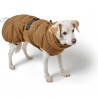 Hundemantel Paxson -  karamell - HUNTER