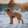 Hundemantel Paxson -  karamell - HUNTER