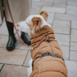 Hundemantel Paxson -  karamell - HUNTER