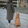 Hundemantel Paxson -  karamell - HUNTER